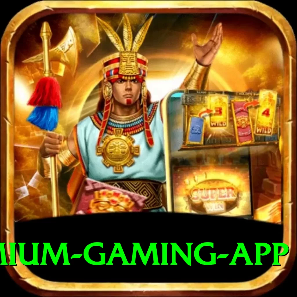 pkrbet Premium Gaming App - 2